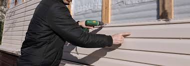 Best Custom Siding Design  in Winslow, AZ